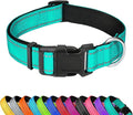 Reflective Dog Collar, Adjustable Soft Neoprene Padded,Teal,M | Breathable Nylon for Medium Dogs,Tear-Resistant Webbing,Chafe‑Free on Walks and Hikes,Metal D-Ring,Night Safety by PWOD