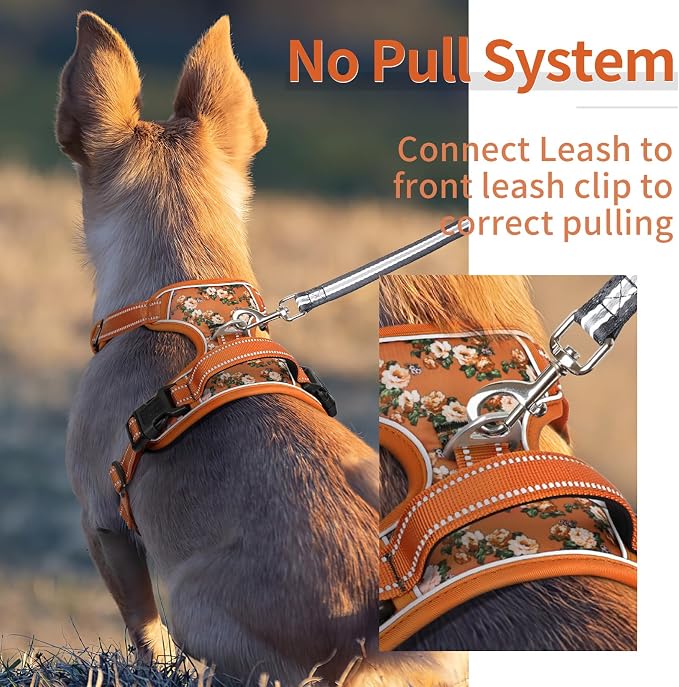 HEELE Dog Harness, No Pull Adjustable Padded Reflective Harness for Small Medium Large Dogs with Handle for Walking Training, Flower-Orange,XS | No Choke with Control Handle, Soft Breathable Padded Pet Vest, Adjustable, Reflective Front Clip Vest for N... - Image 3