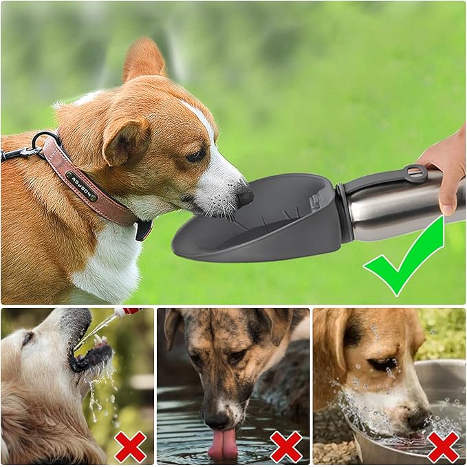 URPOWER Insulated Dog Water Bottle, 27 oz Leakproof Travel Bottle | Cool Water for Hours, 304 Stainless Steel, One-Hand Use, Wide Silicone Bowl, BPA-Free, Less Water Waste, For Walking, Hiking - Image 2
