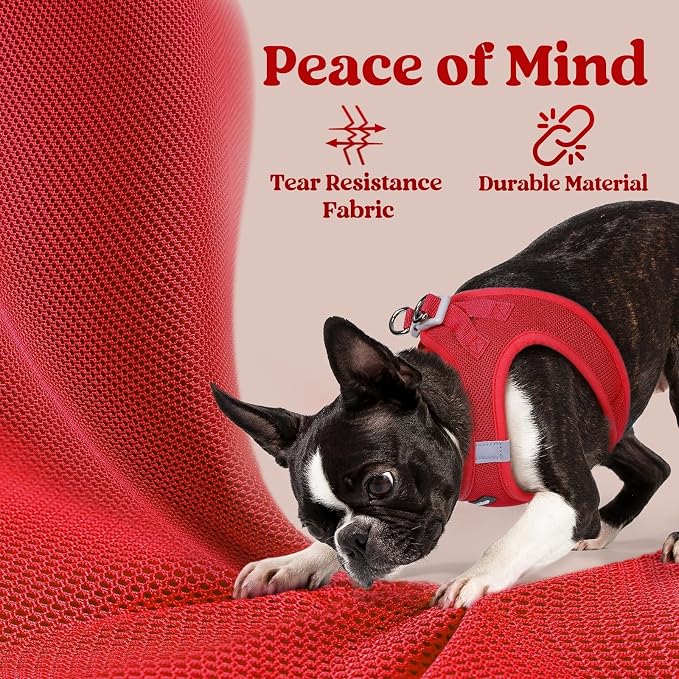 rabbitgoo Step-in Small Dog Harness, Puppy Vest for Small Medium Sized Pet | Easy Put on and off, Lightweight, Soft, Breathable Quick-Dry Air Mesh for Comfortable Secure Walking, Red L - Image 4
