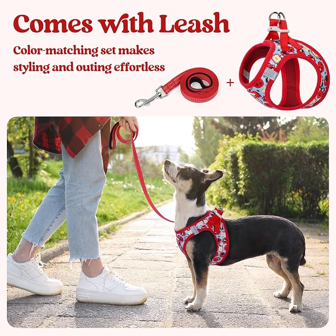 rabbitgoo Dog Harness Small Sized and Leash Set, Step-in Puppy Pet Vest | Light, Soft, Breathable Air Mesh, Easy on and Remove with Hook & Loop, Secure Reflective for Walking, Apple Pups XXS - Image 6
