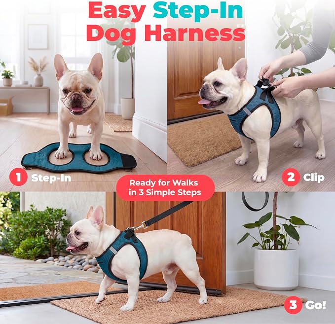 Voyager Step-in Air Dog Vest Harness - Blue/Black Trim, XX-Small | 12 - 13.5" in Chest, Reflective Bands, All Weather Breathable Air Mesh, Cats Compatible, Lightweight, Fast Drying - Image 3