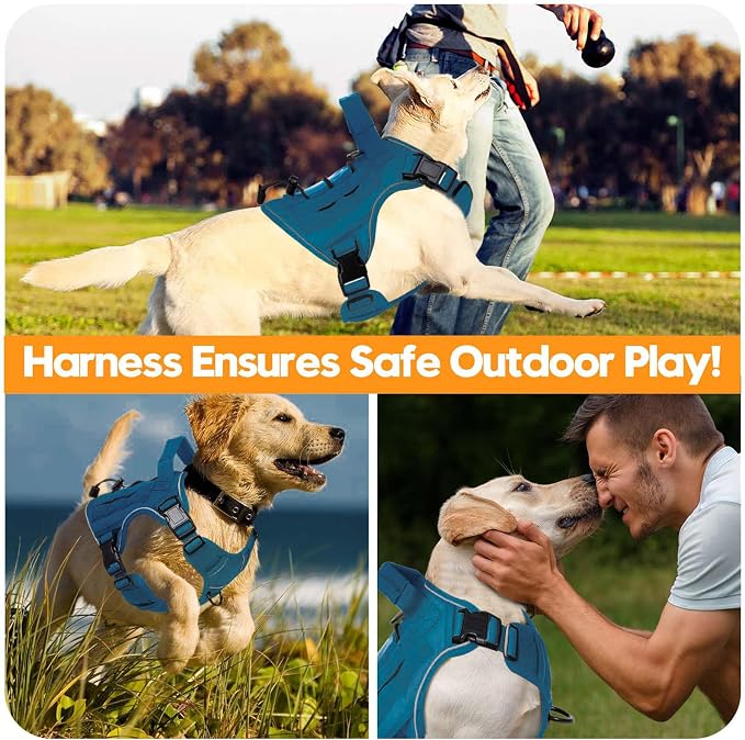 Heavy-Duty Tactical Dog Harness for Large Dogs, No Pull Adjustable Reflective Pet Vest with Molle System, K9 Military-Grade Control for Service Training, Outdoor & 10+ Breeds, Blue, Medium - Image 6