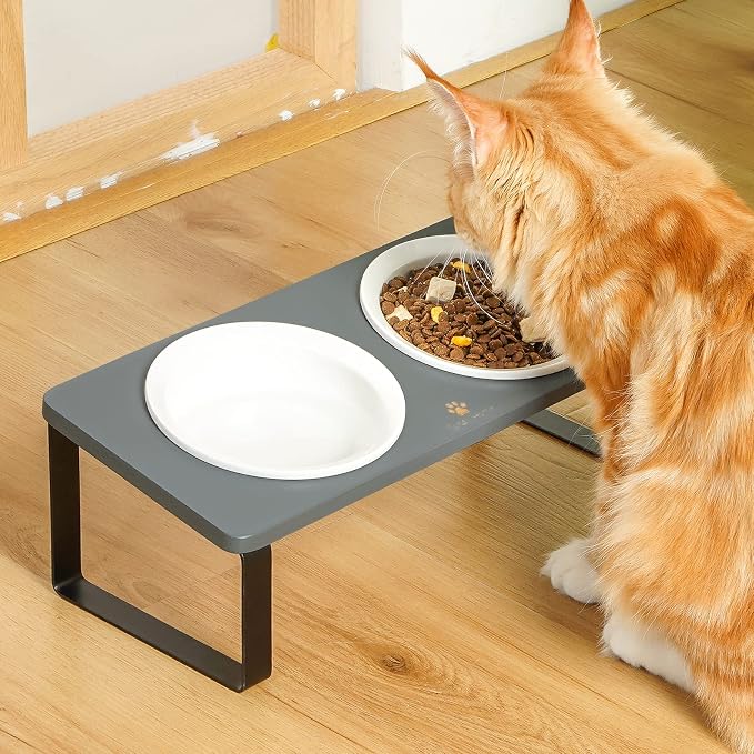 Sunhoo Ceramic Elevated Cat Bowls Raised Puppy Dishes for Food and Water Tilted Wooden Stand for Indoor Cats 5.5 inch Wide Double Dish Orthopedic Reduces Vomiting (Grey) - Image 7