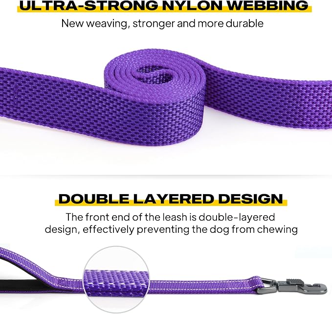 Fida Heavy Duty Dog Leash for Medium Large Dogs, 4 FT, Dual Padded Handles | Traffic Handle for Close Control, Advanced Easy Snap Hook, Reflective, Strong Nylon Webbing for Daily Walks Training, Purple - Image 3