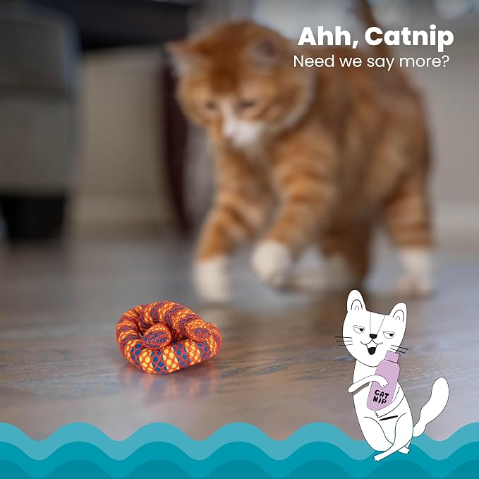 Catstages Catnip Plaque Away Pretzel Interactive Cat Dental Chew Toy, 2.8" | Multiple Textures Help Keep Teeth Clean & Massages Gums, Contains Catnip, Bat & Chase, Enrichment for Cats & Kittens - Image 3
