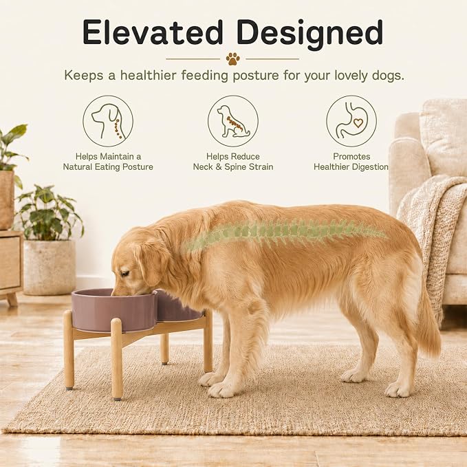 Havniva Ceramic Dog Bowls Elevated, Raised Dog Food Bowl for Large Dogs | 8.3” Elevated Dog Bowls, Non-Slip Wood Stand, Dog Food and Water Bowl Set, Dog Feeding Dish, Large Capacity Pet Water Bowl - Image 4