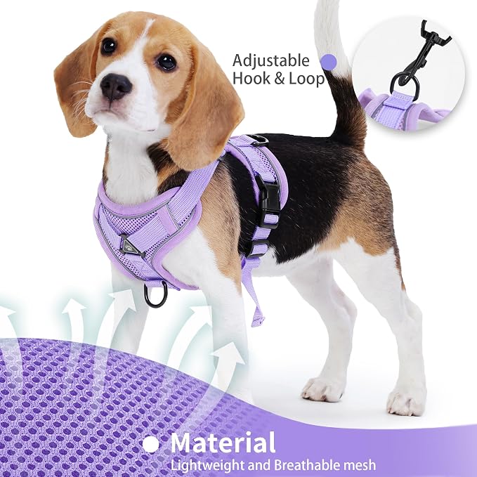 Dog Harness Medium Sized Dog Pet Vest with Leash Set Lilac L | Adjustable Puppy Vest Harness, No Choke No Pull, Soft Padded, Step-in Dog Vest, Reflective Cat Harness, Breathable Air Mesh - Image 4