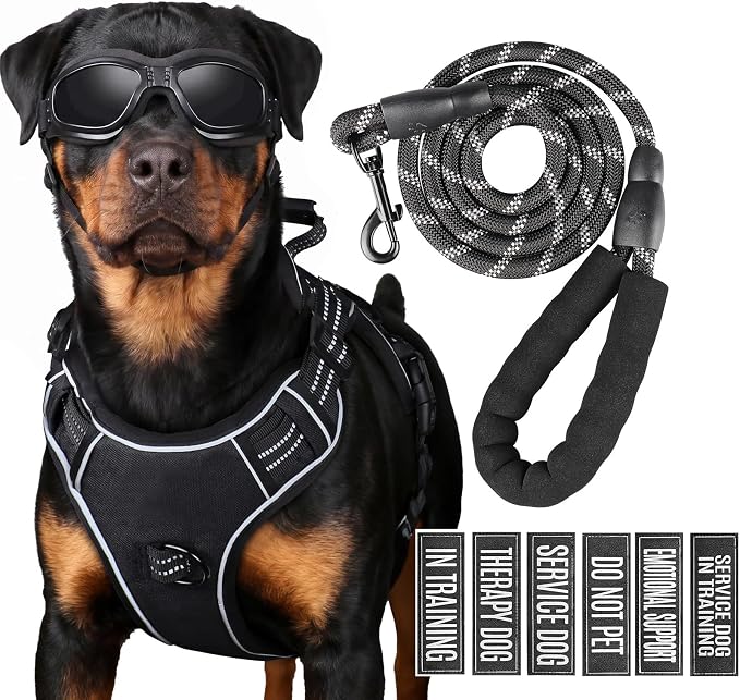 3-in-1 Dog Vest Harness Leash Set for Daily,Service,Training Animal Medium by Unknown