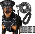 3-in-1 Dog Vest Harness Leash Set for Daily,Service,Training Animal Medium by Unknown