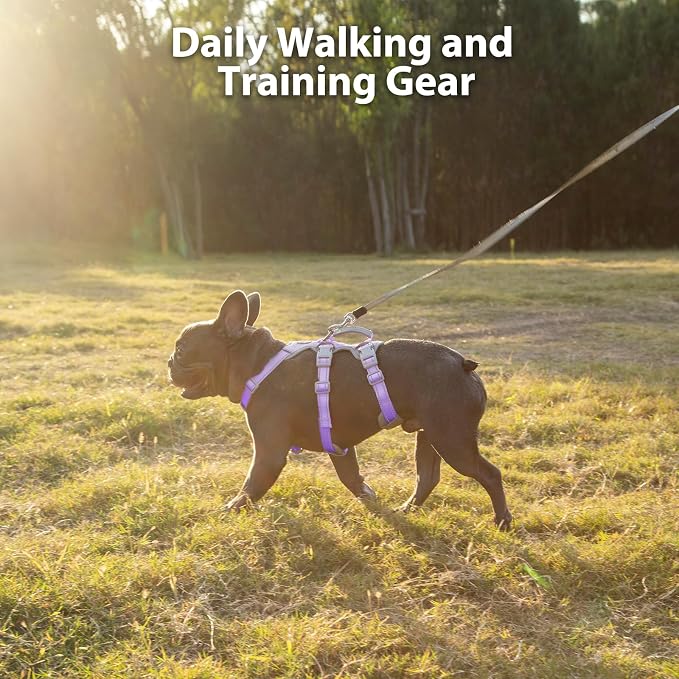 Escape Proof Dog Harness,Secure Dog Harness No Escape,Fully Reflective Harness with Handle,Breathable,Durable,Adjustable Vest for Small Dogs Walking,Training & Running Gear(Lavender Purple,XS) - Image 7