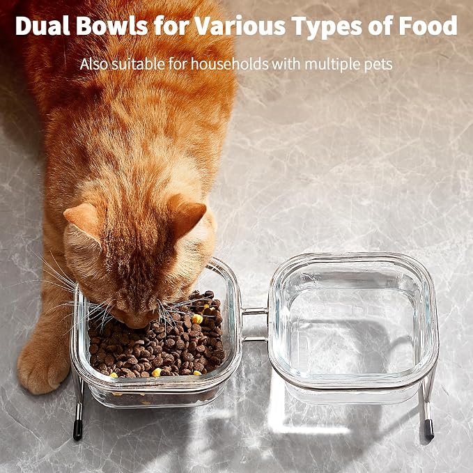 Elevated Cat Bowls, 15° Tilted Glass Raised Cat Food and Water Bowl | Stainless Steel Stand, 2 Large Capacity Glass Cat Bowls and 4 Anti Slip Feet, Suitable for Cats and Little Dogs - Image 6