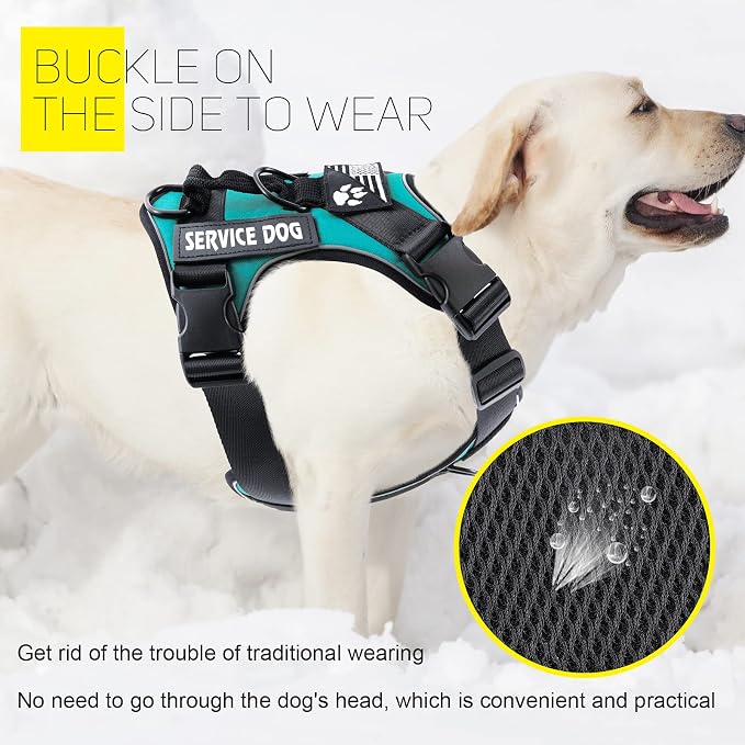 Dog Service Harness, Reflective, Adjustable, Durable, Large, Turquoise, Solid - Image 4