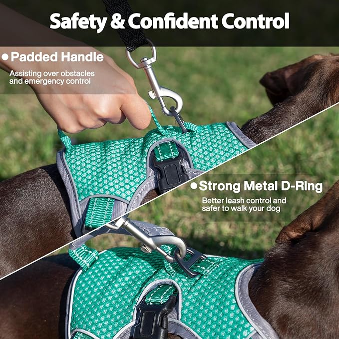 Escape Proof Dog Harness, Dachshund Harness, Reflective Dog Harness with Handle, Durable,Adjustable Vest for Small Medium Large Dogs Walking, Training, and Running Gear (Mint Green,XL) - Image 4