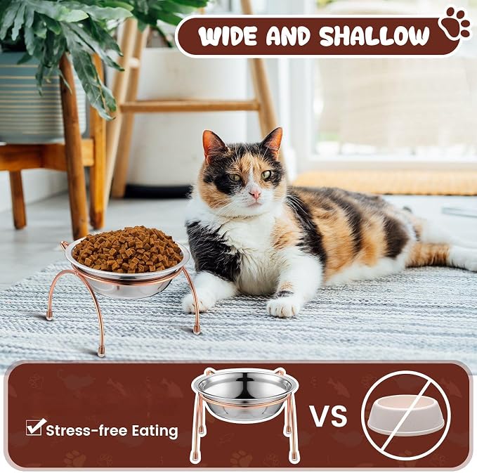 6 Sets Stainless Steel Elevated Cat Bowls 5.5 Inch Wide Raised Cat Bowls with Metal Stand Stress Free Elevated Shallow Water Dish Indoor Kitten Feeding Dish to Prevent Fatigue, 12 oz - Image 4