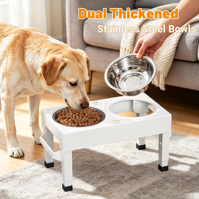Elevated Dog Bowls Stand Large Breed, Height Adjustable Raised Dog Bowls Holder with 2 Stainless Steel Food Bowls for Small, Medium and Large Canine，White - Image 4