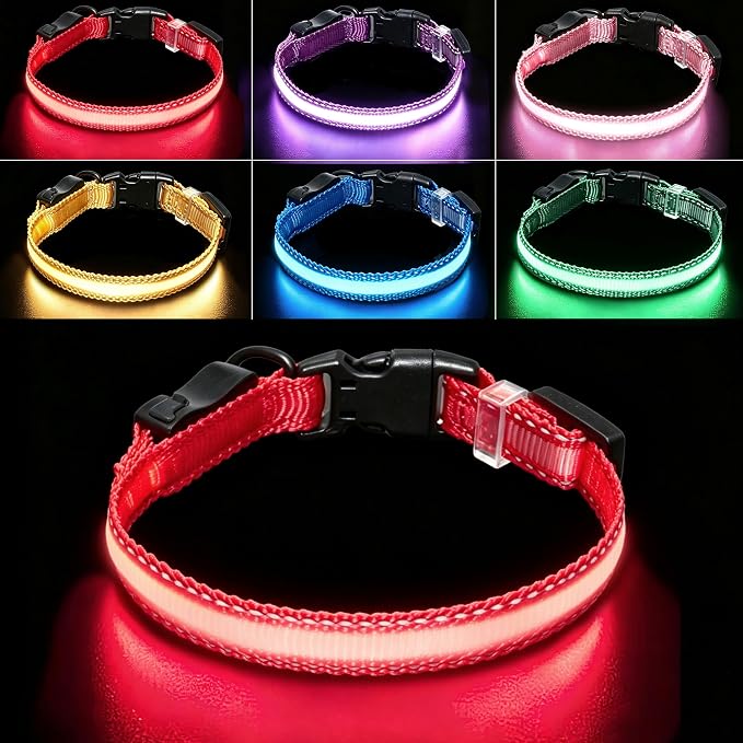 USB Rechargeable LED Dog Collar, Waterproof, Adjustable, Glowing, for Medium Dogs, Night Walking, Camping, Jogging, Red, M (Neck 15-24", Width 1") by Aiminto-Alwaysyourgoodmate