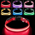 USB Rechargeable LED Dog Collar, Waterproof, Adjustable, Glowing, for Medium Dogs, Night Walking, Camping, Jogging, Red, M (Neck 15-24", Width 1") by Aiminto-Alwaysyourgoodmate