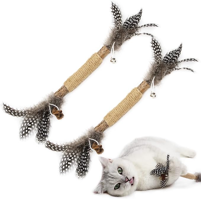 PAZ'S GIFT Catnip Toy Cat Toys Catnip Toy cat chew Toy cat Kicking silvervine Stick Teeth Cleaning Cute Kitten Teething Indoor Interactivecat Dental Care Matatabi (Feather 2pcs) by PAZ%27S+GIFT