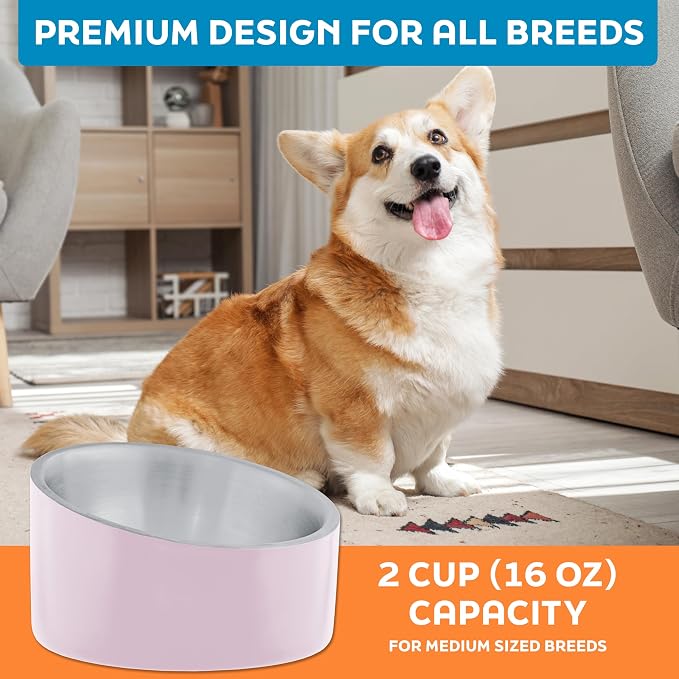 Master Pet Supply Stainless Steel Slanted Dog Cat Food Bowl 16 oz Rose | Heavy Duty Double Wall Insulated Non-Slip Elevated Bowl for French Bulldogs Pugs Cats Anti Rust Dishwasher Safe, Rose Quartz - Image 7