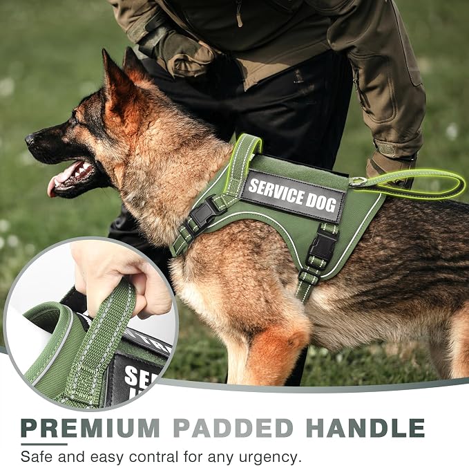Tactical Dog Harness, No Pull Dog Harness for Medium Large Dogs with Handle & Molle, Military Service Dog Vest Harness in Training Pet Harness for Small Dogs - Image 3