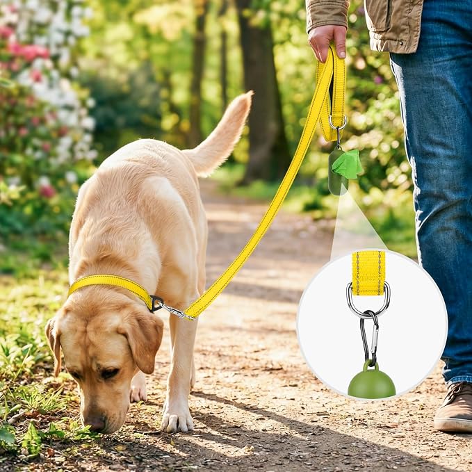 Joytale Reflective Dog Leash for Small Dogs, 5 FT x 3/4", Yellow | Heavy Duty Nylon Webbing, Padded Handle for Comfort, Visible at Night, for Walking & Training - Image 2