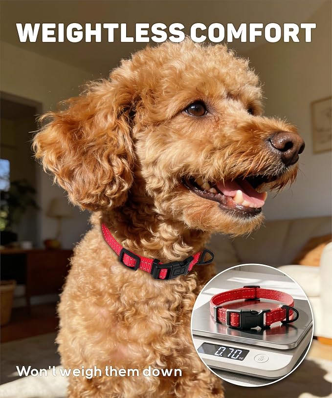 TagME Small Dog Collar, Reflective Puppy Collar, Khaki, 5/8" Width | Lightweight, Nylon Collar for Puppies and Small Dogs, Adjustable Length, 12 Color Choices, Reflective for Evening Walks - Image 3