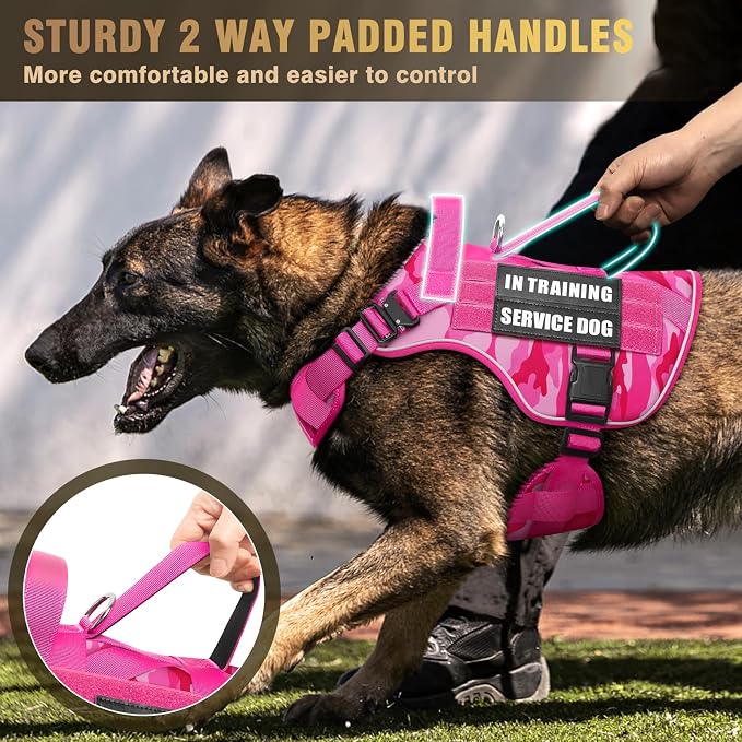 2X Metal Buckle Service Working MOLLE Dog Vest with 10 Pet Patches | Tactical Dog Harness for Large Dog, No-pull Military Working Vest for Training Hunting Walking，2x D Rings for Leash Clip - Image 7