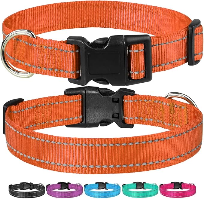 Reflective Dog Collar, Puppy Collar with Buckle Adjustable, Orange XL | Breathable Nylon Collars for Small Medium Large Dogs, No Chafing on Walks and Outdoor Hikes, Metal D-Ring, Night Safety - Image 6