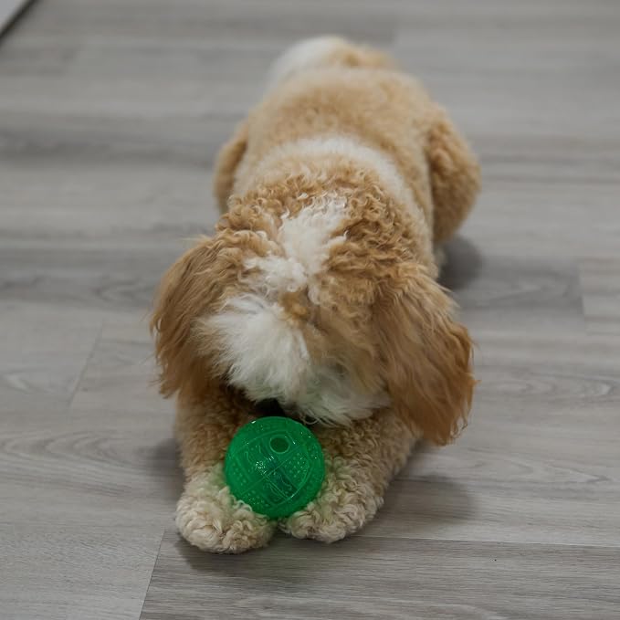 SPOT Dura-Brite Treat Ball - Treat Dispensing Dog Toy Made with Durable TPR Rubber, Interactive Slow Feeder Puzzle Ball, Prevents Boredom and Makes Mealtime Fun - 3in, Assorted Colors - Image 10