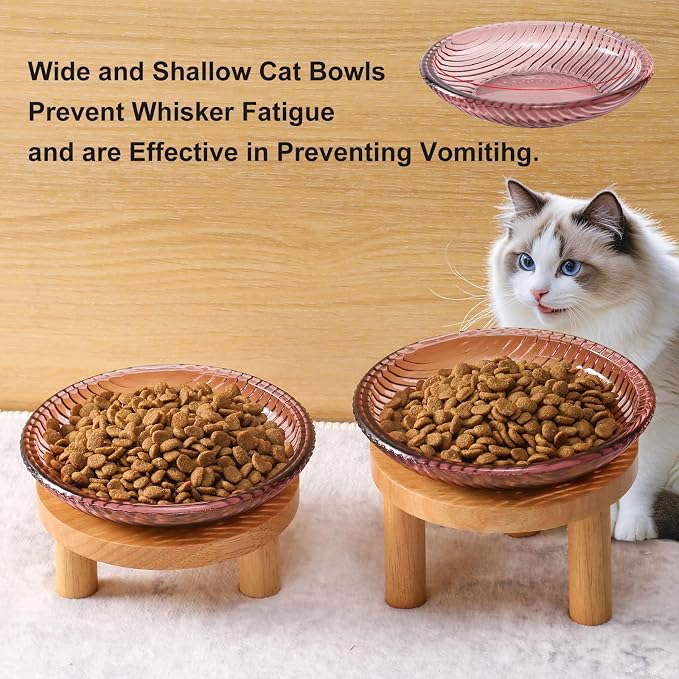 Cat Bowls Whisker Friendly with Wooden Stands. Raised Elevated Glass Whisker Fatigue Cat Bowl for Indoor Cats. 2PCS (Purple) - Image 6