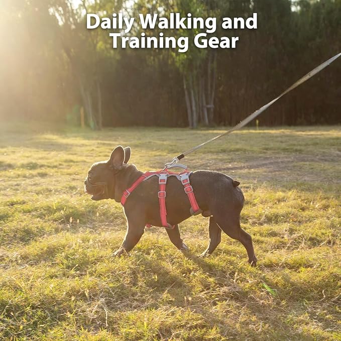 No Escape Dog Harness, Escape Proof Harness, Fully Reflective Harness with Padded Handle, Breathable, Durable, Adjustable Vest for Small Dogs Walking,Training,and Running Gear(Red,S) - Image 7