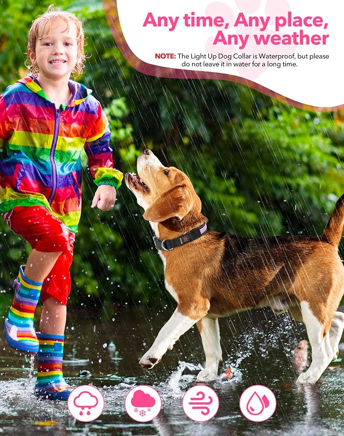 Weesiber Light Up Dog Collar - LED Dog Collar Rechargeable Glow in The Dark Pet Collar, Reflective Safety Dog Lights for Night Walking(Pink, L) - Image 7