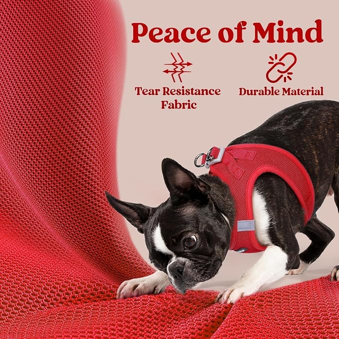 rabbitgoo Step-in Small Dog Harness, Puppy Vest for Small Sized Pet | Easy Put on and off, Lightweight, Soft, Breathable Quick-Dry Air Mesh for Comfortable Secure Walking, Red XXS - Image 3