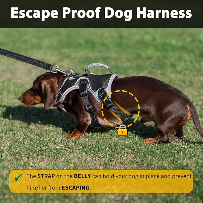 Escape Proof Dog Harness, Dachshund Harness, Reflective Dog Harness with Handle, Durable,Adjustable Vest for Small Medium Large Dogs Walking, Training, and Running Gear (Black,XL) - Image 2