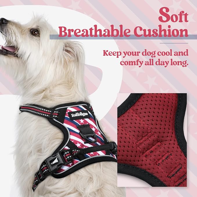 rabbitgoo Dog Harness, No Pull for Small Dogs with 2 Leash Clips, Pet Vest | No Choke with Handle, Adjustable Soft Padded, Reflective, Easy Control for Walking, Red Stripe, X-Small - Image 2