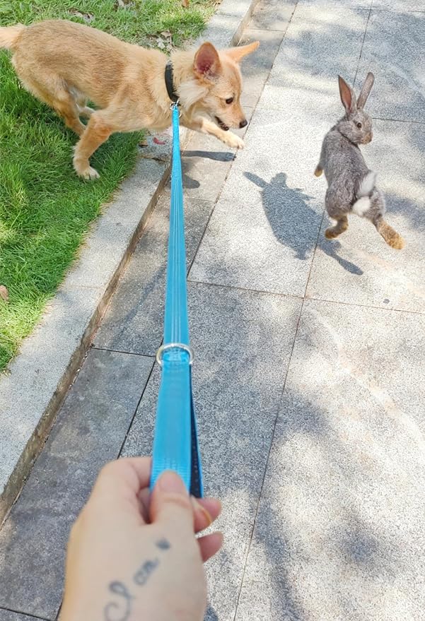 5FT Bungee Dog Leash Shock Absorbing Lightweight Small Medium Dogs | Reflective Nylon Lead- 2cm Wide- Soft Handle- Anti-Pull Training- 6 Colors - Image 3
