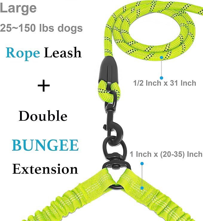 Double Dog Leash, 360° Swivel, No Tangle, Large, 25-150 lbs, Green | Dual Leash for Two Dogs, Split Leash, Shock-Absorbing Bungee, Padded Handle, Heavy-Duty Rope - Image 2