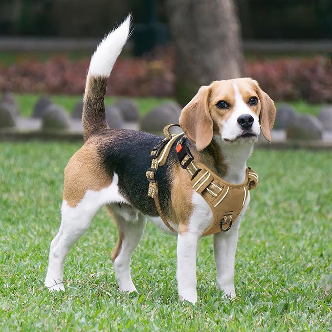 Timos Dog Harness, Front Clip No Pull Medium Sized with Handle, Khaki, M | No Choke, Adjustable Reflective Soft Padded, Quick Release 3 Buckles, Easy On & Off, Front & Back 2 Clips for Outdoor Walking - Image 6
