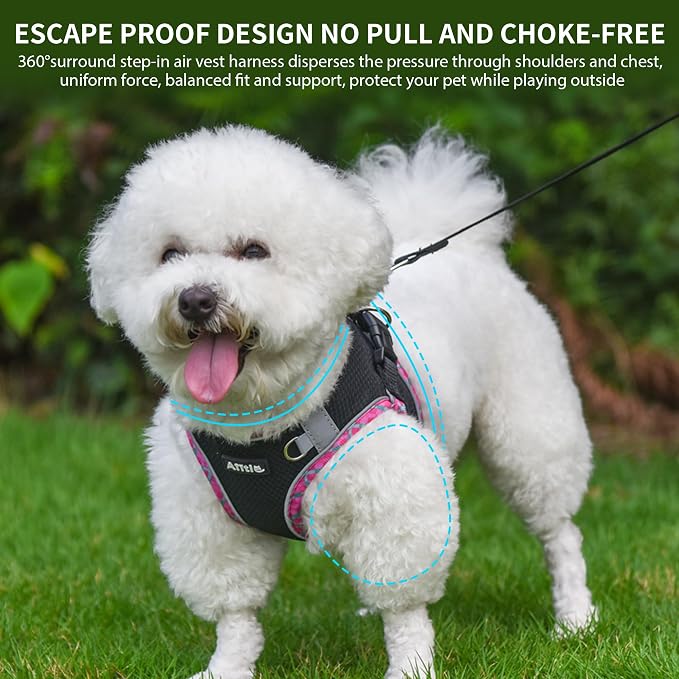 Teacup Puppy Harness with Leash, Escape-Proof Design, Black S | No Pull Step-in Dog Vest Harness, Breathable Mesh, Reflective Design with Magic Tape, Outdoor Use for Poodles, Pomeranians - Image 4