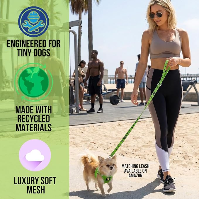 EcoBark Teacup Dog Harness, Luxury Soft Step in Dog Vest, Green, XXXS | Reflective Mini Body Halter Vest for Puppy & Tiny Dogs Under 5 lbs, No Choke Breathable Mesh, Luxury Soft Dog Harnesses - Image 2