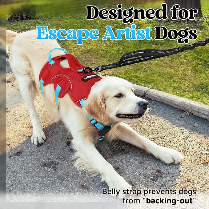 rabbitgoo Escape Proof Dog Harness for Medium, No Pull with Lift Handle | No Escape, Full Soft Padded, Reflective Adjustable Vest, Leash Clip for Walking Hiking Training, Sky Blue & Red, Medium - Image 2