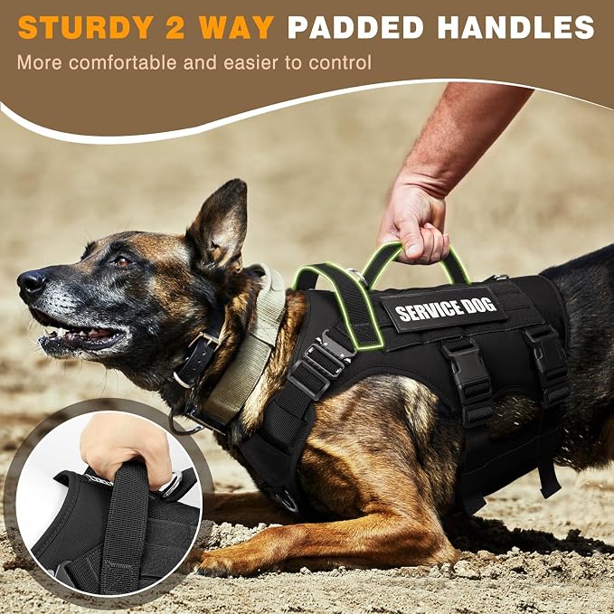 Service Dog Vest Harness for Large Dog, Tactical Working MOLLE Vest with 10 Pet Patches, No Pull Heavy Duty Harness for Training Walking - Image 6