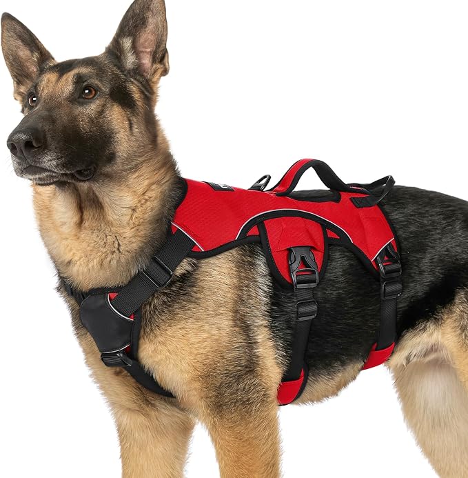 rabbitgoo Escape Proof Dog Harness for X-Large, No Pull with Lift Handle | No Escape, Full Soft Padded, Reflective Adjustable Vest, Leash Clip for Walking Hiking Training, Red, X-Large by rabbitgoo