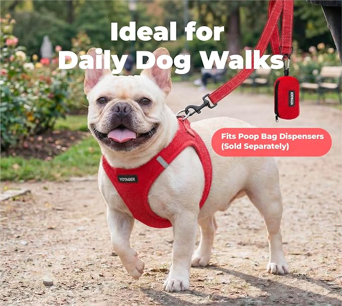 Best Pet Supplies Voyager Nylon Dog Leash - Red, Medium | 5ft in Length, 3/4" in Width, Reflective, Soft Neoprene Handle, Heavy Duty Metal Clips for Running, Walking & Training - Image 3