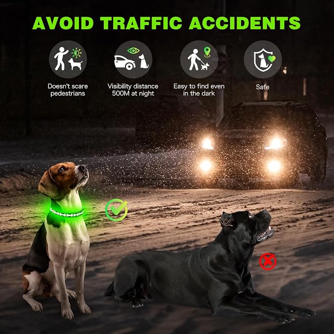 Flashseen LED Dog Collar Light Up USB-C Rechargeable (Green, Small) | Glow in the Dark Collar for Night Walking, Adjustable Waterproof Visibility Glowing Collars for Dogs - Image 2