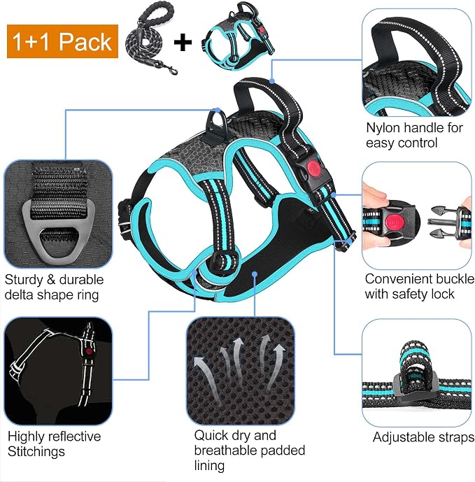 tobeDRI No Pull Dog Harness Adjustable Reflective Oxford Easy Control Medium Large Dog Harness with A Free Heavy Duty 5ft Dog Leash, Black/Blue, M - Image 3