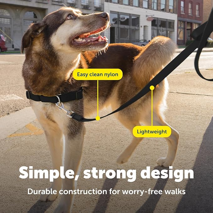 PetSafe Nylon Dog Leash - Strong, Durable, Traditional Style Leash with Easy to Use Bolt Snap - 3/4 in. x 4 ft., Black | Durable Nylon Leash with Easy on/off Bolt Snap Hook, Pairs Perfectly with Easy Walk Harness and Gentle Leader Headcollar - Image 4