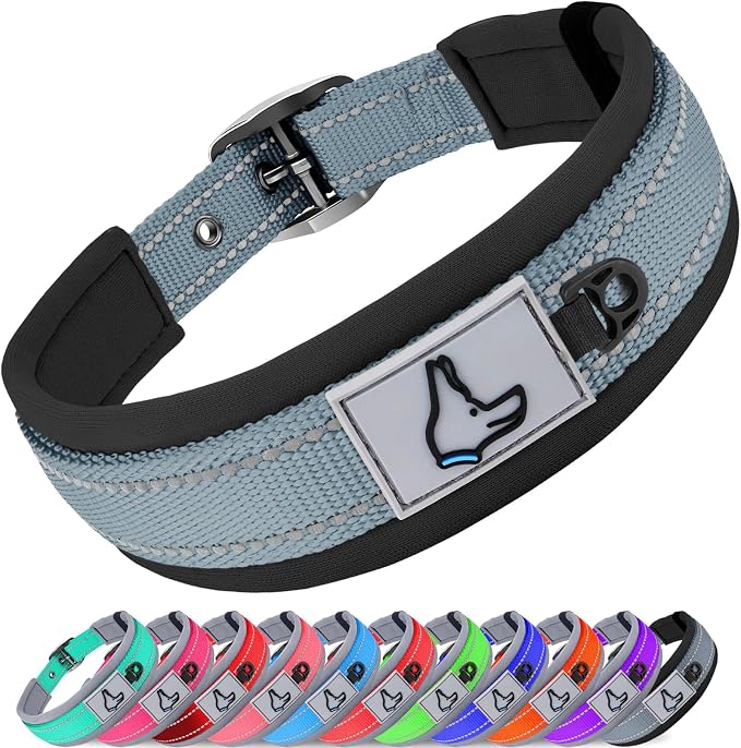 Joytale Reflective Dog Collar for Small Dogs with Wide Padding, Gray | Soft Cushion Reduce Neck Strain, Night Safety Walking, Metal Buckle and Adjustable Eyelets, Separated Dog ID Tag Ring by Joytale