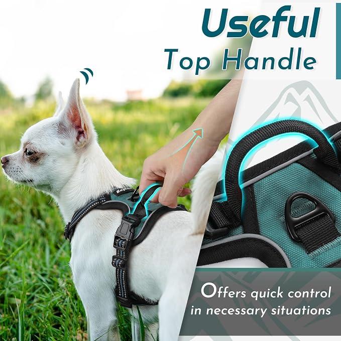Eagloo Dog Harness for Small Dogs, No Pull Pet Vest with 2 Leash Clips | No Choke with Handle, Adjustable Comfort Fit, Reflective Strips, Easy Walking Control, Dark Green, X-Small - Image 5